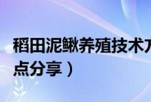 稻田泥鳅养殖技术方法（泥鳅稻田养殖技术要点分享）