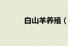 白山羊养殖（大家可以看一看）