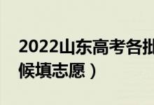 2022山东高考各批次志愿填报时间（什么时候填志愿）