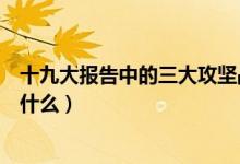 十九大报告中的三大攻坚战（十九大报告中的三大攻坚战是什么）