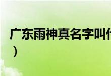 广东雨神真名字叫什么（广东雨神真名叫什么）