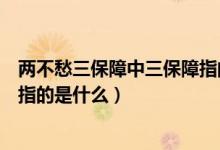 两不愁三保障中三保障指的是什么（两不愁三保障中三保障指的是什么）