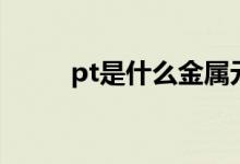 pt是什么金属元素（pt是什么金）