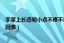 手掌上长透明小点不疼不痒（手指长透明小点不痛不痒怎么回事）