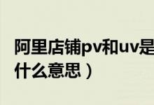 阿里店铺pv和uv是什么意思（店铺uv和pv是什么意思）