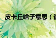 皮卡丘啥子意思（请问皮卡丘是什么意思）