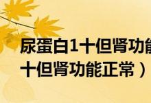 尿蛋白1十但肾功能正常说明什么（尿蛋白1十但肾功能正常）