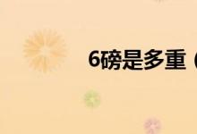 6磅是多重（6磅是多少kg）