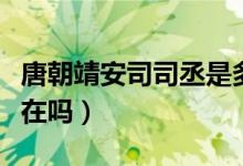 唐朝靖安司司丞是多大的官职（唐朝靖安司存在吗）