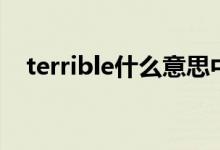 terrible什么意思中文（terrible的副词）