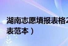 湖南志愿填报表格2021（2022湖南志愿填报表范本）