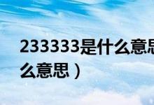 233333是什么意思网络语言（233333是什么意思）