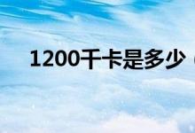 1200千卡是多少（1200千卡是多少斤）