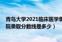 青岛大学2021临床医学录取线是多少（2021青岛大学医学院录取分数线是多少）