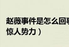 赵薇事件是怎么回事（深扒其背后不为人知的惊人势力）