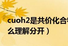 cuoh2是共价化合物吗（CuOH2的化合价怎么理解分开）