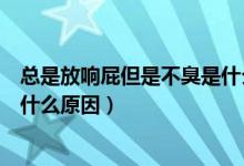 总是放响屁但是不臭是什么原因（经常放屁但是不臭还响是什么原因）