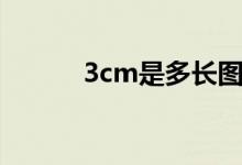 3cm是多长图片（3cm是多长）