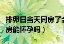 排卵日当天同房了会不会怀孕（排卵日当天同房能怀孕吗）