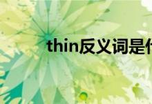 thin反义词是什么（thin反义词）