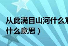 从此满目山河什么意思（满目山河既往不咎是什么意思）