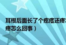 耳根后面长了个疙瘩还疼怎么治疗（耳根后面长了个疙瘩还疼怎么回事）