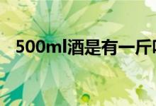 500ml酒是有一斤吗（500ml酒是1斤吗）