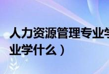 人力资源管理专业学什么的（人力资源管理专业学什么）