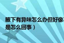 腋下有异味怎么办但好像不是狐臭（腋下有异味但不是狐臭是怎么回事）