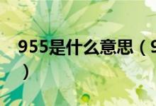 955是什么意思（955和996工作是什么意思）