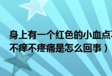 身上有一个红色的小血点不痒不疼痛（身上有红色的小血点不痒不疼痛是怎么回事）