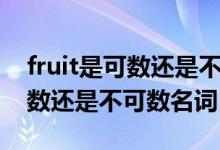 fruit是可数还是不可数名词例句（fruit是可数还是不可数名词）