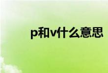 p和v什么意思（v丨p是什么意思）