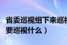 省委巡视组下来巡视哪些方面（省委巡视组主要巡视什么）