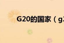 G20的国家（g20国家有哪些国家）