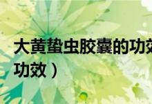 大黄蛰虫胶囊的功效（大黄蛰虫胶囊的作用与功效）