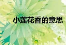 小莲花香的意思（小莲花香暗示什么）