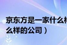 京东方是一家什么样的公司（京东方是一家什么样的公司）