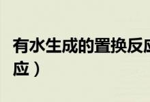 有水生成的置换反应初中（有水生成的置换反应）