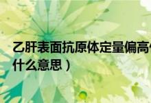 乙肝表面抗原体定量偏高什么意思（乙肝表面抗原定量偏高什么意思）