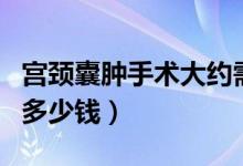 宫颈囊肿手术大约需要多少钱（手术宫颈囊肿多少钱）