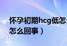 怀孕初期hcg低怎么食补（怀孕初期HCG低怎么回事）