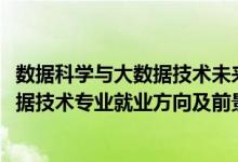 数据科学与大数据技术未来就业方向（2022数据科学与大数据技术专业就业方向及前景）