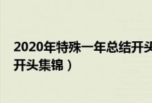 2020年特殊一年总结开头简短精辟（2020年特殊一年总结开头集锦）