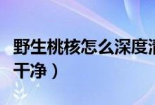 野生桃核怎么深度清理（野桃核怎么清理那么干净）