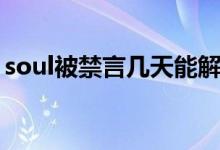 soul被禁言几天能解禁（soul一般禁言多久）