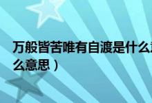 万般皆苦唯有自渡是什么意思视频（万般皆苦唯有自渡是什么意思）