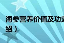 海参营养价值及功效（海参营养价值及功效介绍）