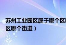 苏州工业园区属于哪个区哪个街道（苏州工业园区属于哪个区哪个街道）