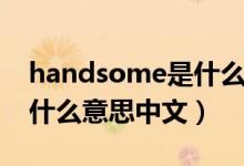 handsome是什么意思中文（handsome是什么意思中文）